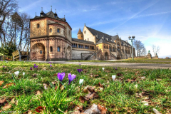 1_5M7A0884_5_6_tonemapped