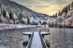 1_5M7A0910_1_2_tonemapped_ps_AI