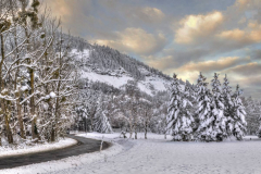 1_5M7A1674_5_6_tonemapped_AI