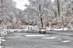 1_5M7A1884_5_6_tonemapped