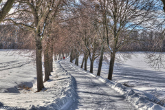 1_5M7A5939_40_41_tonemapped