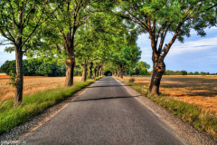 1_5M7A6018_19_20_tonemapped_ps_S