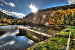 1_5M7A6051_2_3_tonemapped-1_ps