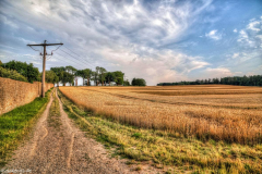 1_5M7A6090_1_2_tonemapped_ps