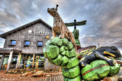 1_5M7A6177_8_9_tonemapped_final