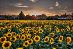 1_5M7A7041_2_3_tonemapped_PS-S