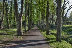 1_M7A0237_8_9_tonemapped