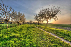 1_M7A0646_7_8_tonemapped3