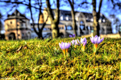 1_MG_0300_1_2_tonemapped