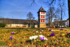 1_MG_1752_3_4_tonemapped