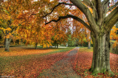 1_MG_6986_7_8_tonemapped