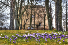 1_MG_7324_5_6_tonemapped_2019_03