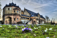 1_MG_7495_6_7_tonemapped