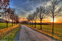 1_MG_7534_5_6_tonemapped