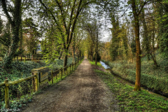 1_MG_9260_1_2_tonemapped_Snapseed