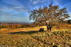 1_MG_9656_7_8_tonemapped